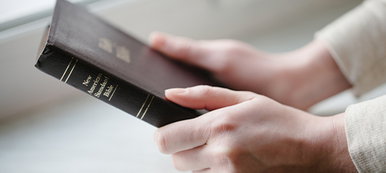 hands holding Bible